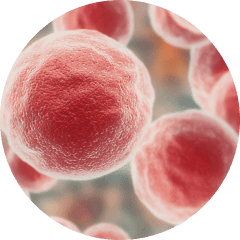 most common tirzepatide side effects Tirzepatide Dosing