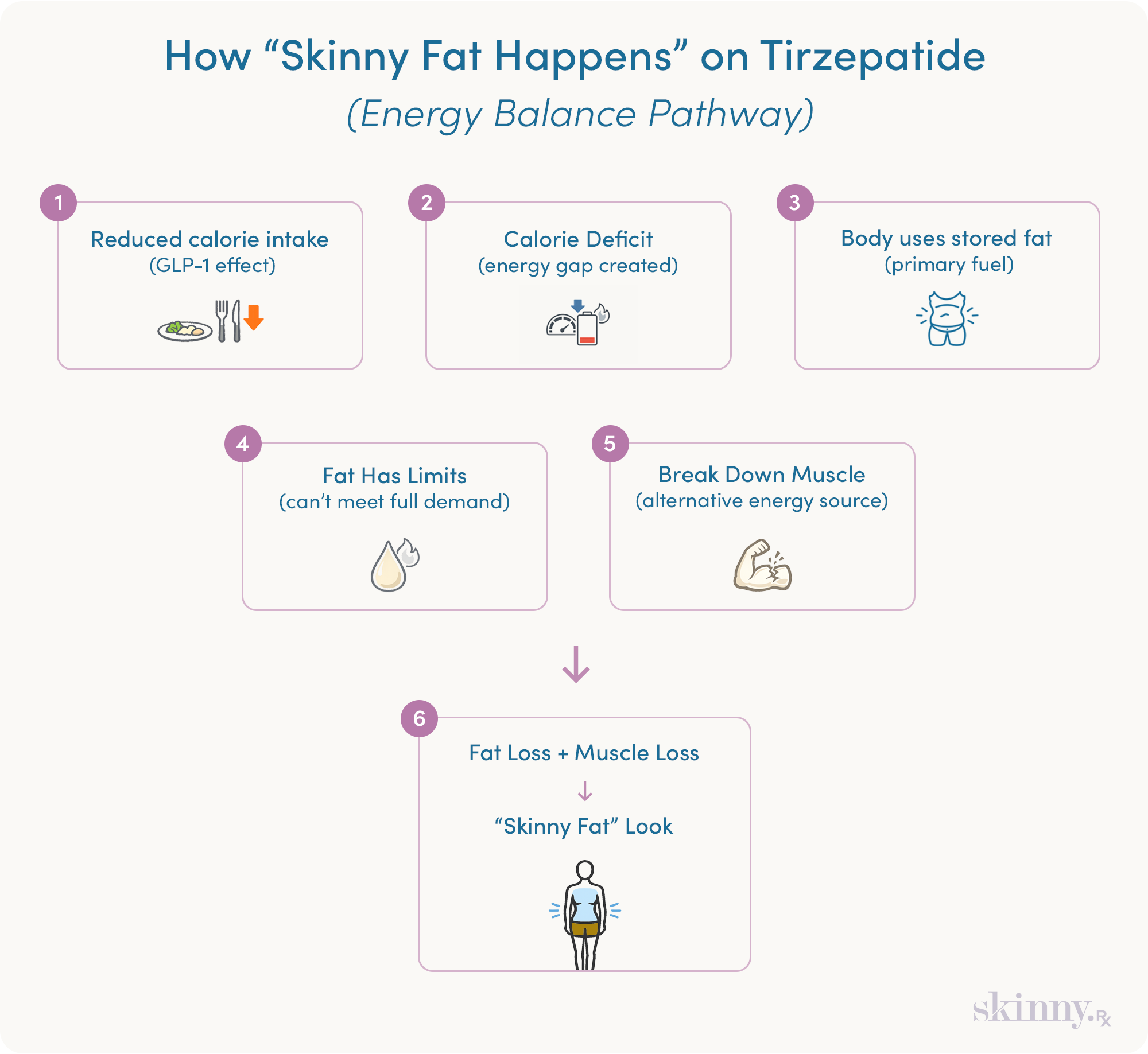 Infographic showing how skinny fat happens on tirzepatide, from calorie deficit and fat use to muscle loss and reduced body definition