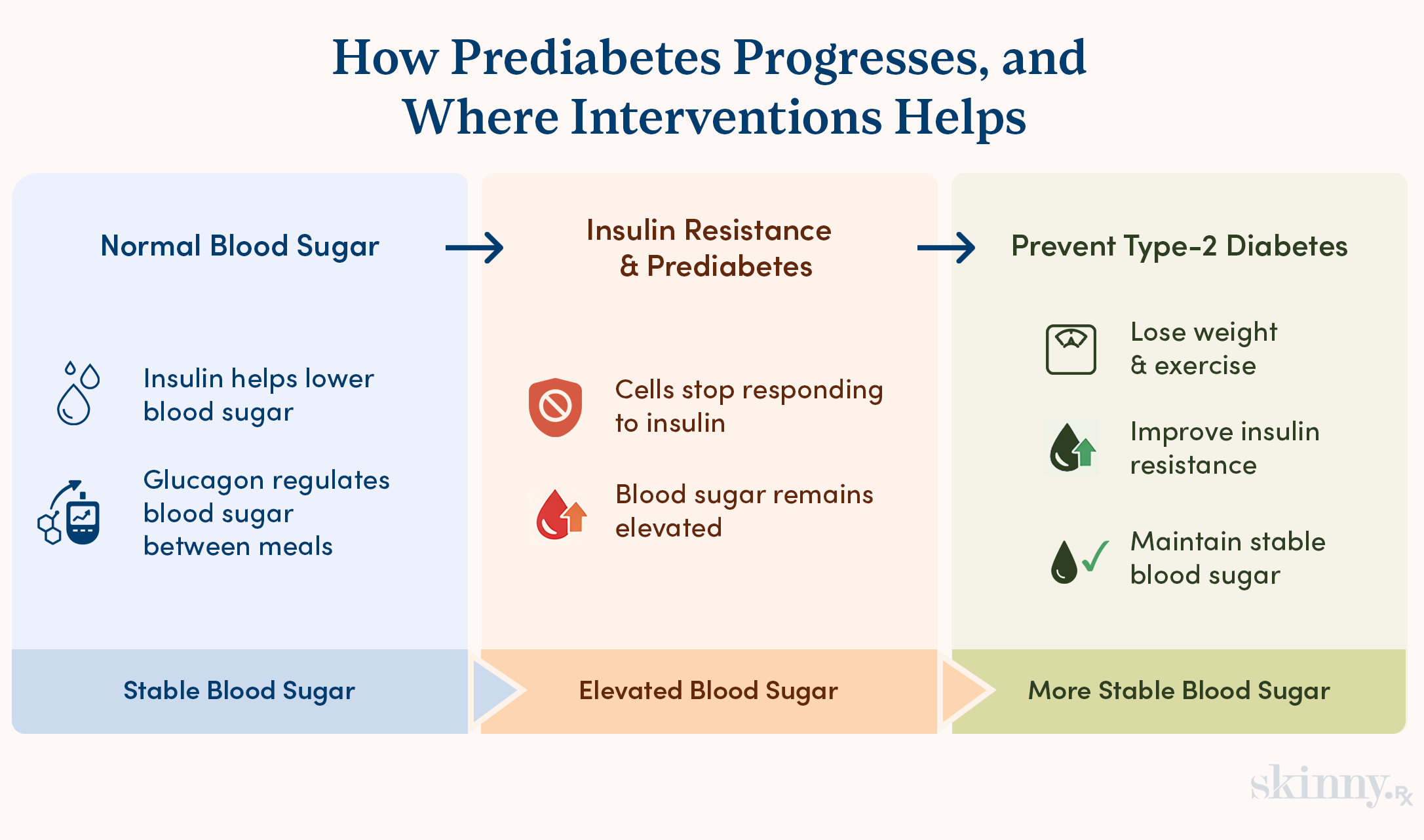 Infographic showing how prediabetes progresses from normal blood sugar to insulin resistance and how lifestyle interventions can help prevent type 2 diabetes.