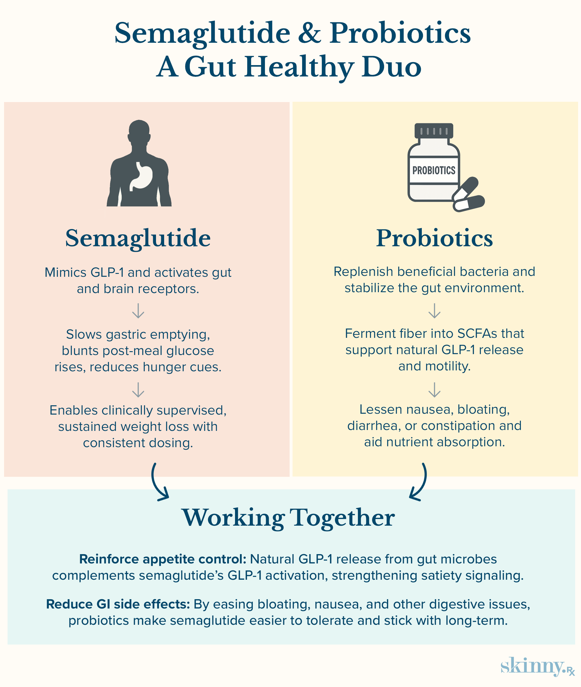 An infographic explaining how semaglutide works to slow digestion and curb appetite, how probiotics support gut health, and how both work together for better tolerance and results.