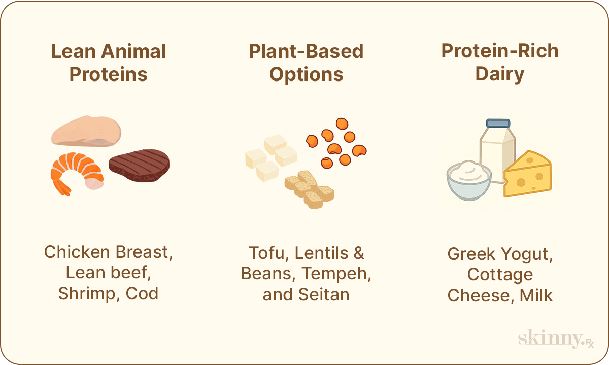 Inforgraphic illustrating the best protein food groups