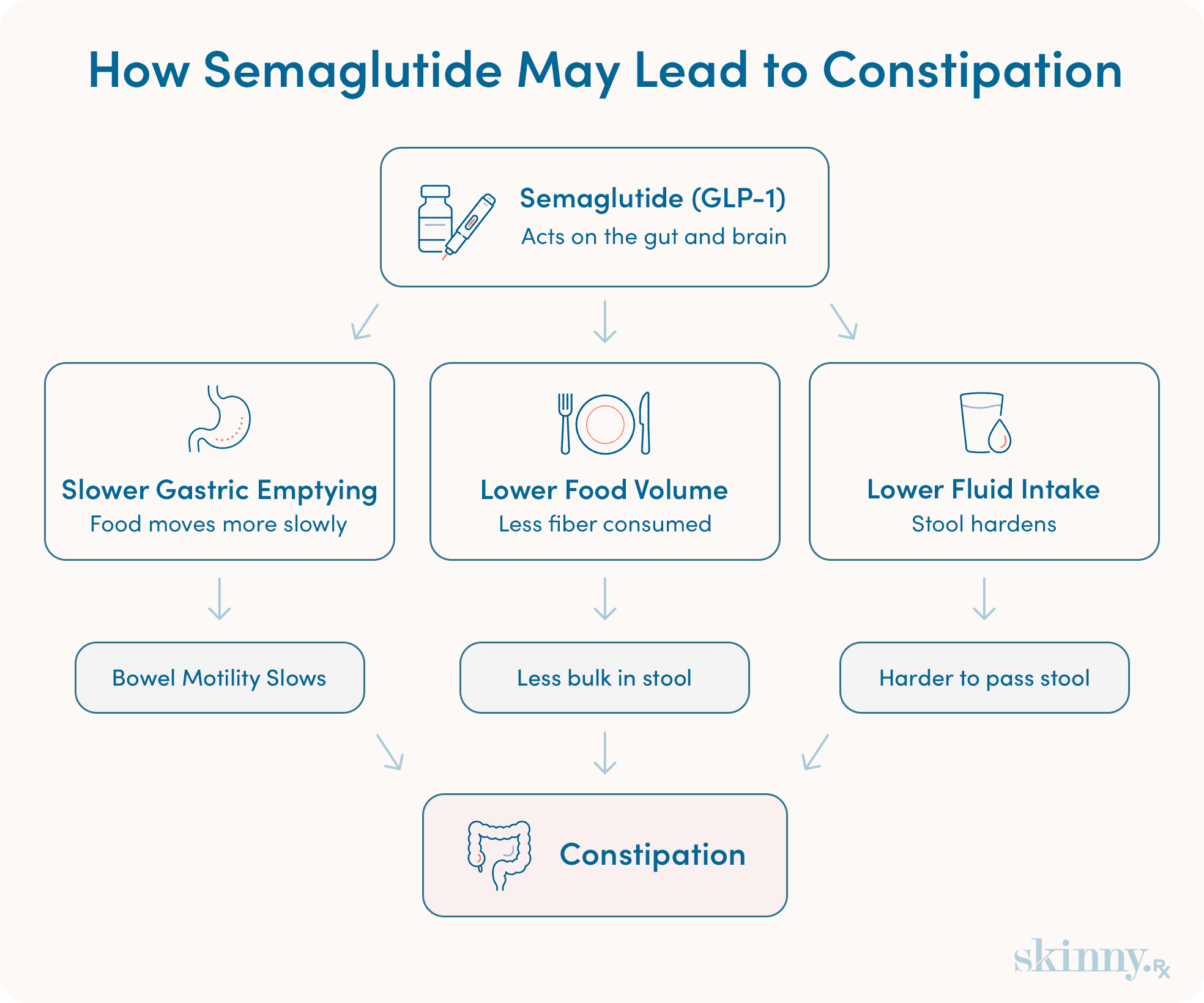 Diagram infographic showing how semaglutide causes constipation through slower gastric emptying, lower food volume, and reduced fluid intake.