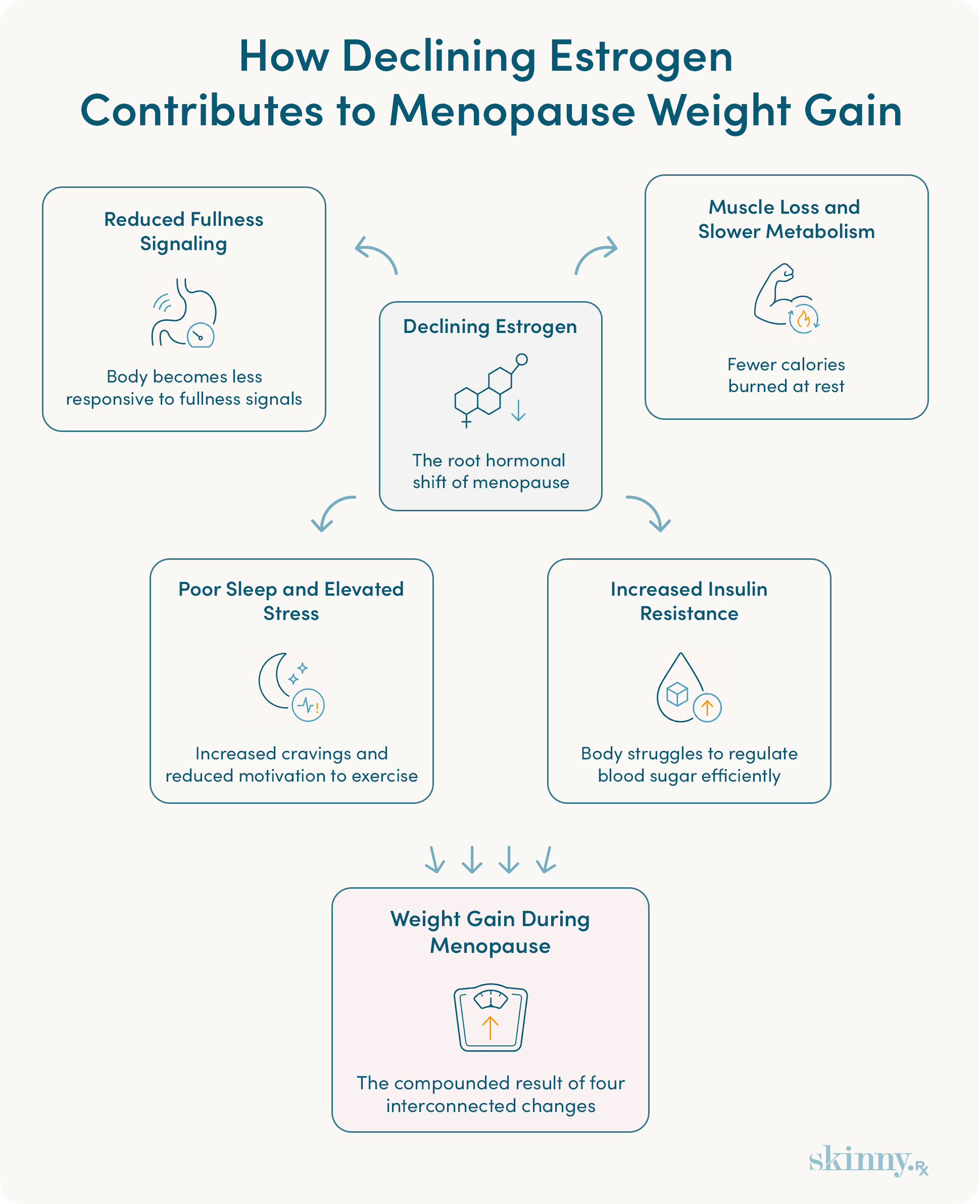 Infographic showing how declining estrogen contributes to menopause weight gain through four mechanisms: reduced fullness signaling, muscle loss and slower metabolism, poor sleep and elevated stress, and increased insulin resistance.