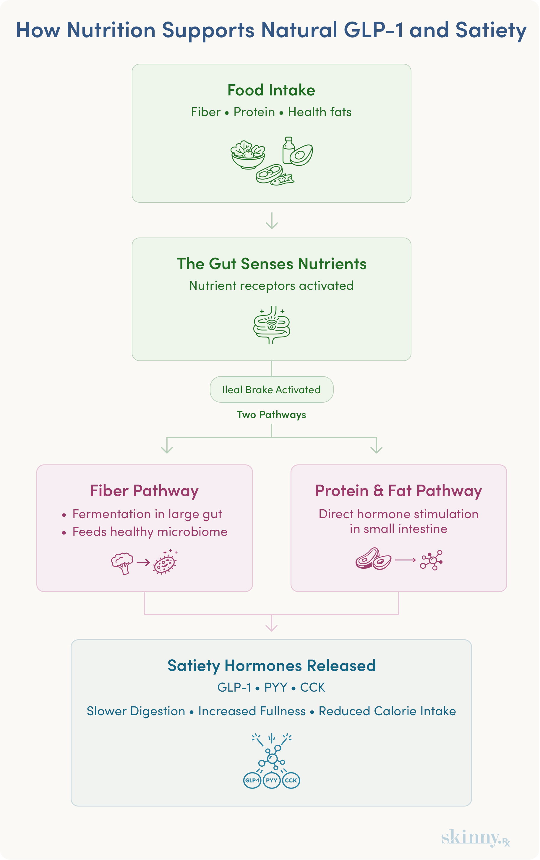 How to Boost Natural GLP-1 with Nutrition: Fiber, Protein & Gut Health